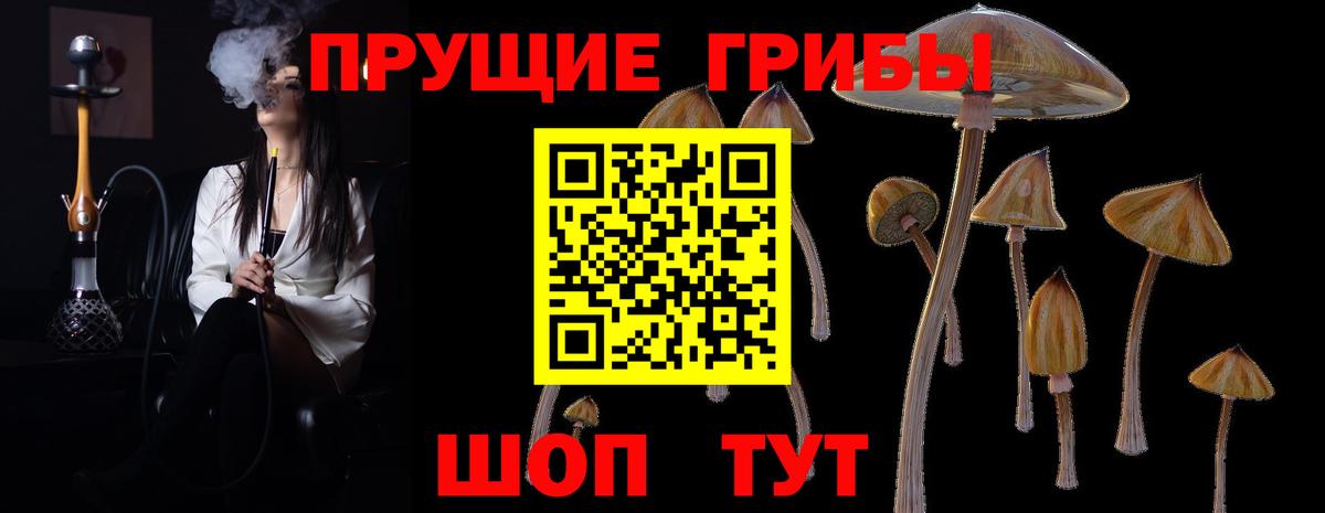 Псилоцибиновые грибы мицелий  Вход с VPN  наркота  Баксан 